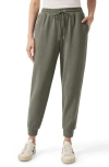 Splendid Tie Waist Waffle Stitch Scuba Joggers In Soft Vob