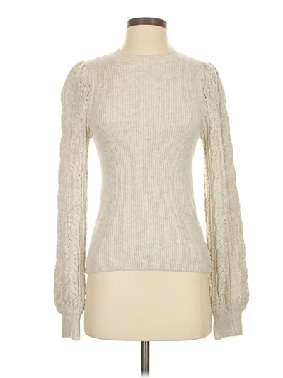 Pre-owned Splendid Turtleneck Sweater In Silver
