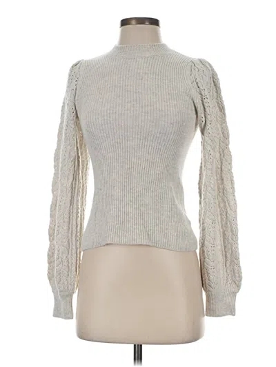 Pre-owned Splendid Turtleneck Sweater In Silver