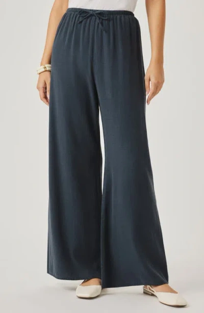Splendid Valerie Drawstring Pants In Blue