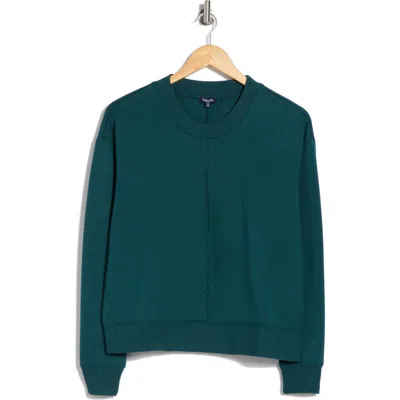 Splendid Velvet Trim Sweater In Balsam