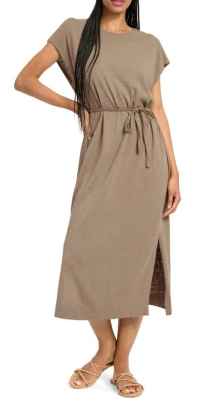 Splendid Vero Dress In Ash In Brown