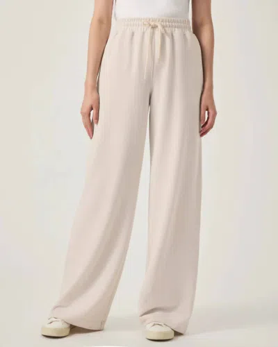Splendid Waffle Scuba Pants In Moonstone In Neutral