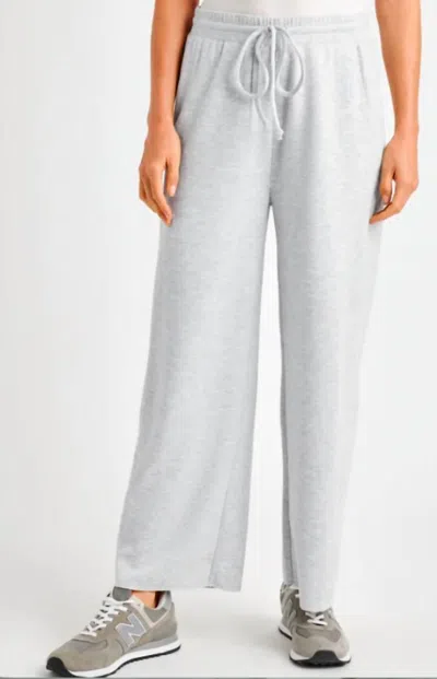 Splendid Winslow Pants In Ice Heather Grey In Multi