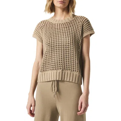 Splendid X @cellajaneblog Pointelle Sweater Vest In Wood