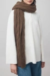 Splendid X Cj Cable Scarf In Brown