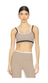 Splits59 Eva Rigor Double Strap Bra In Brown
