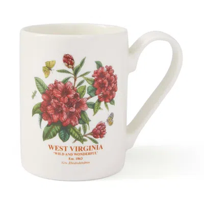 Spode Blossoming States 11 Ounce Earthenware Mug In West Virginia Rhododendron