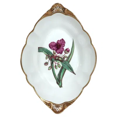 Pre-owned Spode Porcelain Botanical Specimen Dish With A Spiderwort Plant After W. Curtis In Gray