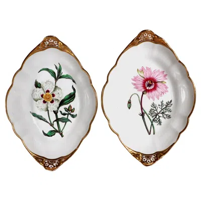 Pre-owned Spode Porcelain Botanical Specimen Dishes- A Pair. After William Curtis In Gray