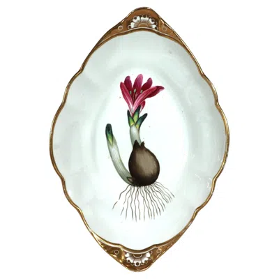 Pre-owned Spode Regency  Porcelain Botanical Specimen Dish- Spring Meadow Saffron In Orange