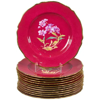 Pre-owned Spode Set Of 12 English Porcelain Botanical Plates, , Circa 1900 In Red
