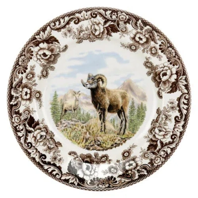 Spode Woodland American Wildlife 10.5" Dinner Plate In Sheep