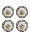 Spode Woodland Salad Plates, Set Of 4 In Mallard