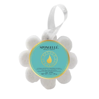 Spongelle Daisy Collection Wild Flower Beach Grass