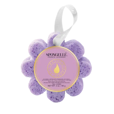 Spongelle Daisy Collection Wild Flower French Lavender