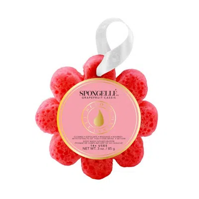 Spongelle Daisy Collection Wild Flower Grapefruit Cassis