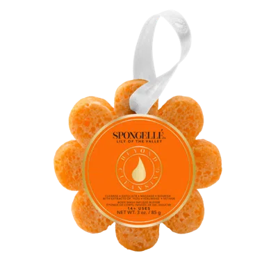 Spongelle Daisy Collection Wild Flower Lily Of The Valley