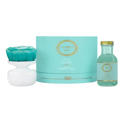 Spongelle Florica Collection Floret Diffuser Gift Set In Transparent