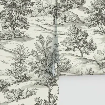 Spoonflower Pastoral Etchings / French Countryside Toile Performance In White