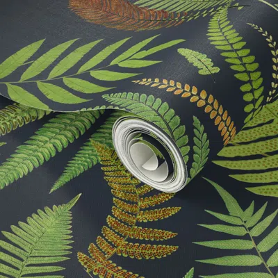 Spoonflower Peel And Stick Wallpaper Ferns Of A Feather On Slate  Removable