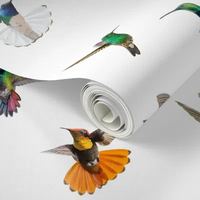 Spoonflower Peel And Stick Wallpaper Hummingbirds Of T And T Large White 2' X 12' Removable In Multi