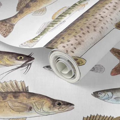 Spoonflower Peel And Stick Wallpaper Large Sale - Midwest Freshwater Fish - On White  Removable