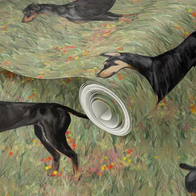 Spoonflower Peel And Stick Wallpaper Three Doberman Pinschers In Wildflower Field 3  Removable