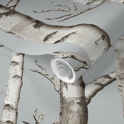 Spoonflower Pre-pasted Wallpaper Birch Grove In Whitestone 2' X 12' Removable In Multi