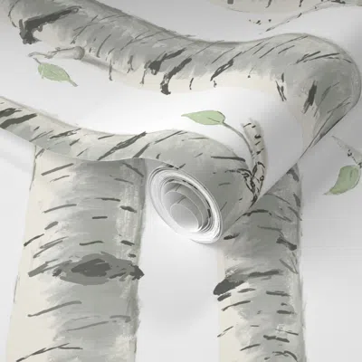 Spoonflower Pre-pasted Wallpaper Birch Trees On White 2' X 12' Removable
