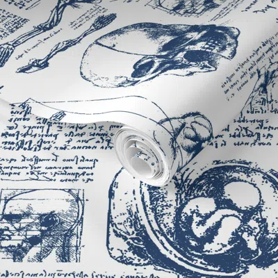 Spoonflower Pre-pasted Wallpaper Da Vinci's Anatomy Sketchbook // Dark Blue // Large 2' X 12' Removable
