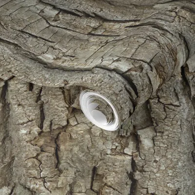 Spoonflower Pre-pasted Wallpaper Endless Bark 2' X 12' Removable