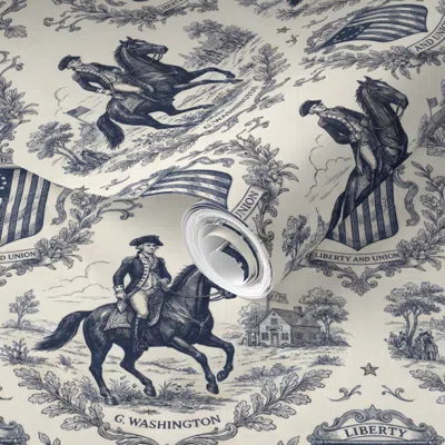 Spoonflower Pre-pasted Wallpaper George Washington Liberty And Union  Removable