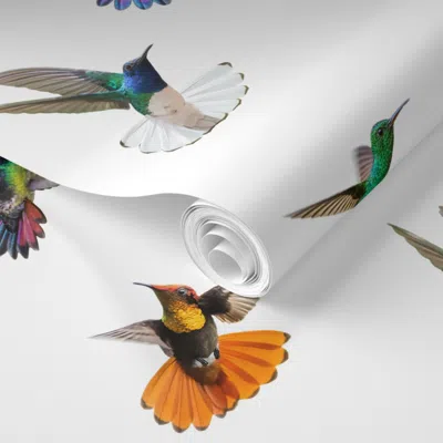Spoonflower Pre-pasted Wallpaper Hummingbirds Of T And T Large White 2' X 12' Removable In Multi