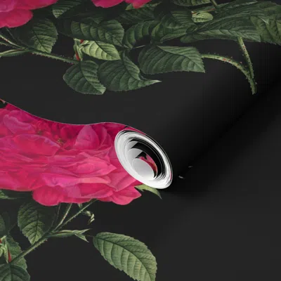 Spoonflower Pre-pasted Wallpaper Redoute Rose Hot Pink On Black 2' X 12' Removable In Multi