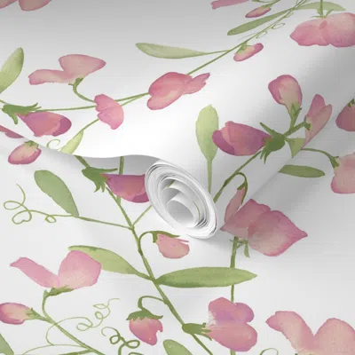 Spoonflower Pre-pasted Wallpaper Sweet Pea Vine - Pink 2' X 12' Removable
