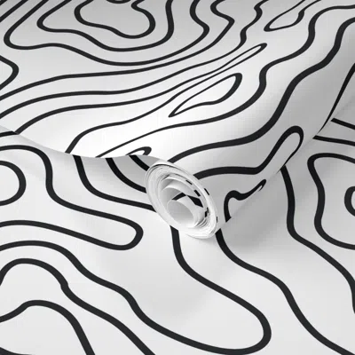 Spoonflower Pre-pasted Wallpaper White And Black Stripes Wave Elevation Topographic Topo Map Pattern 2' X 12' Re