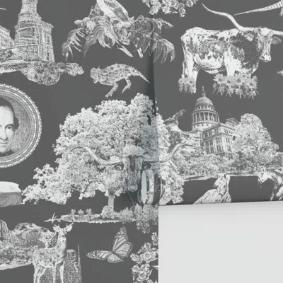 Spoonflower Texas Toile Gray White Performance In Black