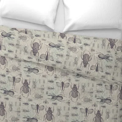 Spoonflower Vintage Beetles And Bugs Wide Cotton Sateen 3.5 oz 26" X 20" Standard Knife Edge