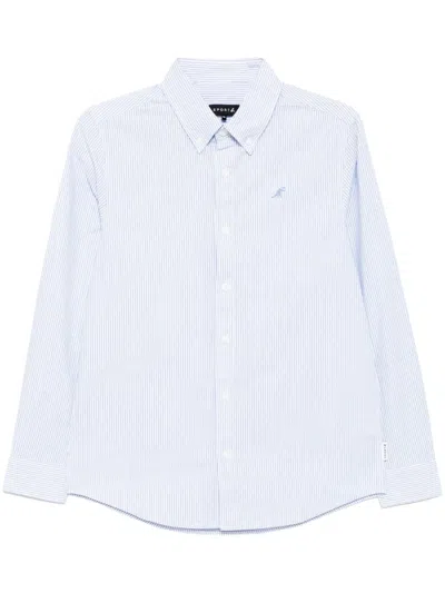 Sport B. By Agnès B. Dinosaur-embroidered Striped Shirt In ブルー