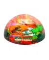 Sporticulture Florida A&m Rattlers Team Pride Dome Paper Weight In Transparent