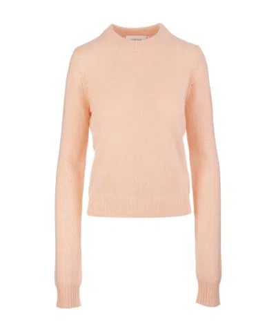 Sportmax Agitare Crewneck Knit Jumper In Nude