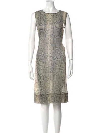 Pre-owned Sportmax Animal Print Midi Length Dress In Multi