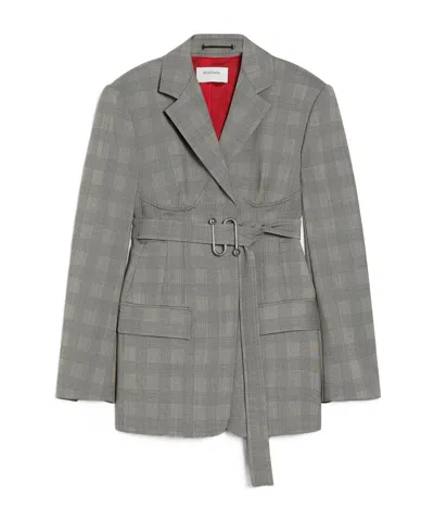 Sportmax Emy Jacket In Gray