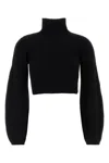 Sportmax Cropped High Neck Long Sleeve Knit Sweater In Black