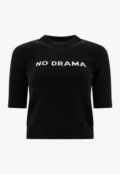 SPORTMAX CASHMERE AND WOOL KNIT TOP
