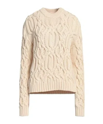 Sportmax Crew Neck Long Sleeve Sweater In Purple