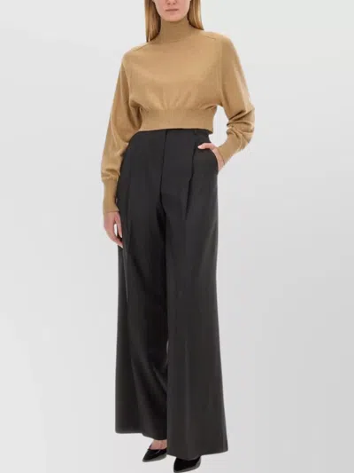 Sportmax Cropped Long Sleeve Knit Top In Brown