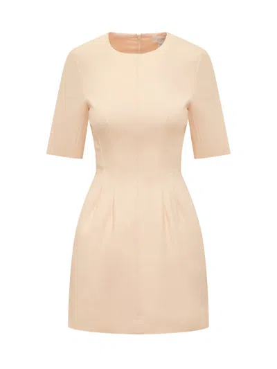 Sportmax Crewneck Short-sleeved Dress In Neutral