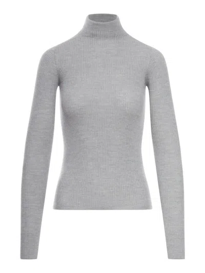 Sportmax Elegant Turtleneck Sweater In Gray